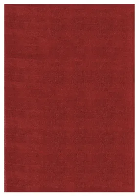 Productafbeelding van Sky vloerkleed laagpolig rechthoek 140x200cm rood