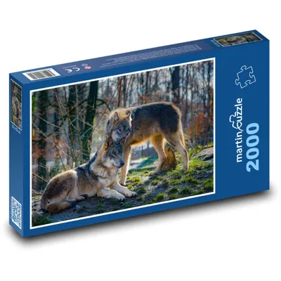 Obrázok produktu pre martinpuzzle - Puzzle 2000 - Vlci v lese