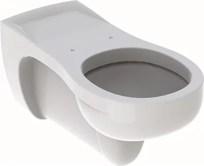 Immagine prodotto di Geberit Vitalis WC à chasse d'eau, suspendu, 201500000, 201500000