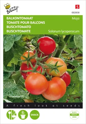 Produktbild von Buschtomate Maja | Buschtomatensamen von Buzzy Seeds