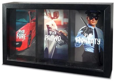 Produktbild von Sparschwein für das Auto, Serie Home 3