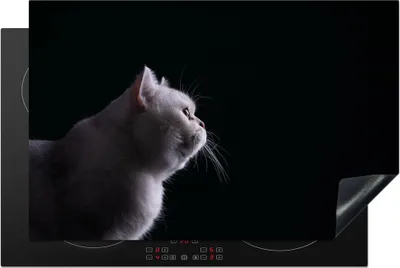 Produktbild von KitchenYeah© Herdabdeckplatte Nahaufnahme einer weißen Katze , 81x52cm, Küche Deko, Glaskeramikkochfeld Herdabdeckung, Abdeckplatte fùr Kochfeld