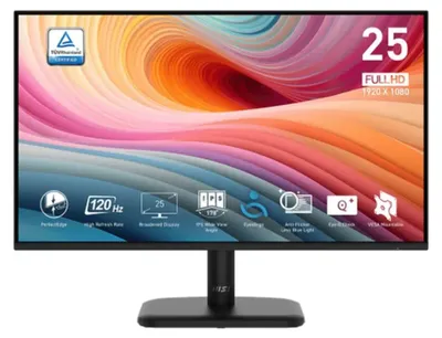 Produktbild von MSI PRO MP251L E2, 62,2 cm (24.5"), 1920 x 1080 Pixel, Full HD, LED, 4 ms, Schwarz