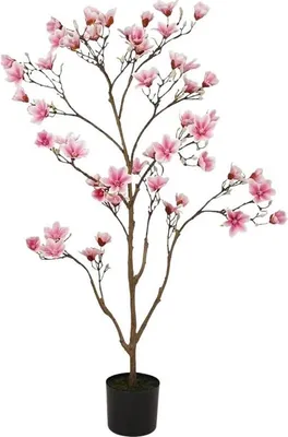 Produktbild von Emerald Künstliche Magnolie - Clarc | 120 cm, für drinnen, Kunstblume, wie echt, Allergiker geeignet, pflanzliche Dekoration Praxis, Office & Wohnzimmer