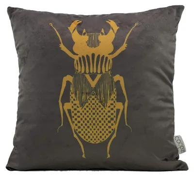 Image de Coussin - 50 cm