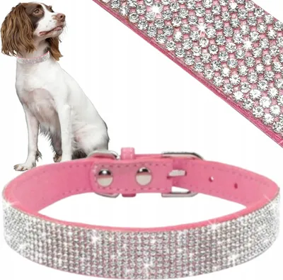 Obrázok produktu pre PETSTORY Elegantný obojok Zirkónová ružová S