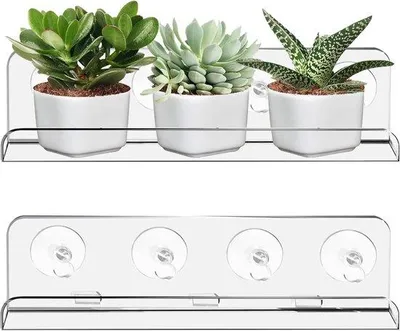 Productafbeelding van Famanu acrylplantenhouder, set van 2 stuks, transparant met zuignappen