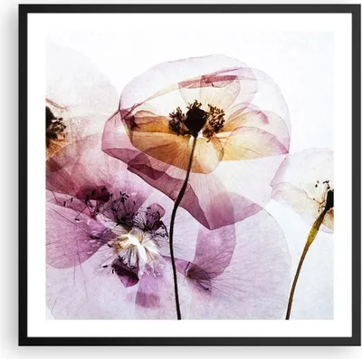 Produktbild von Gerahmtes Poster - Schwarzer Rahmen - blume sommer natur - 60x60 cm - Wand Bild - Wanddeko - Wandbilder - Kunstposter - Wandposter - Bilderrahmen - Bilder - Kunstdruck - Wandbild - P2BAC60x60-3821