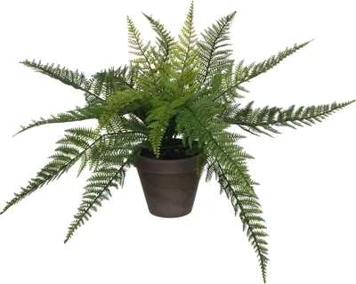 Image de Mica Decorations Fougère plante artificielle dans pot de fleurs Stan - H38 x Ø50 cm - Vert