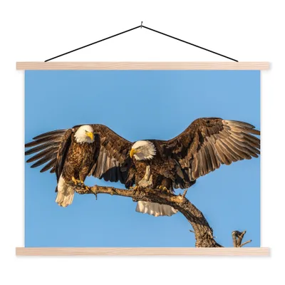 Produktbild von MuchoWow® Textilposter Vogel - Äste - Adler - Raubvögel - Luft 120x90 cm mit holzfarbenen Rahmen - Magnetisch