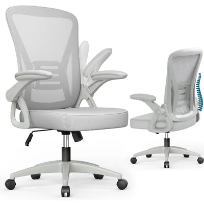Image de Chaise de bureau ergonomique – dossier en maille respirante, soutien lombaire intégré, accoudoirs rabattables à 90°, Gris