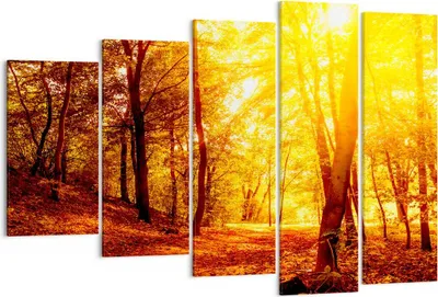 Produktbild von Bild auf Leinwand - Leinwandbild - Wald Baum Natur - 150x100cm - Wand Bild - Wanddeko - Wandbilder - Leinwanddruck - Bilder - Kunstdruck - Wanddekoration - Leinwand bilder - Wandkunst - EG150x100-3722