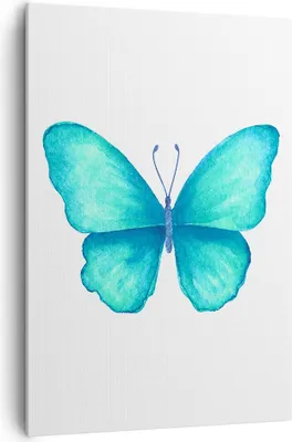 Produktbild von Bild auf Leinwand - Leinwandbild - Einteilig - Schmetterlinge Fliegen Kindheit Sommer - 70x100cm - Wand Bild - Wandbilder - Leinwanddruck - Wanddekoration - Leinwand bilder - Wandbild - PA70x100-2899