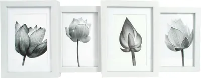 Produktbild von Bilderrahmen Collage Multi Classic Case weiß 55 x 20,8 cm - 4 Fotos