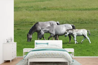Produktbild von MuchoWow® Fototapete für Wohnzimmer oder Schlafzimmer Wandtapete Vinyl Motivtapete Pferde - Tiere - Gras - 330x220 cm - Fototapeten