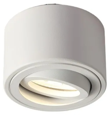 Produktbild von Aufbaustrahler extra flach schwenkbar Genius 60501 rund weiss – 50 mm Höhe, 230V