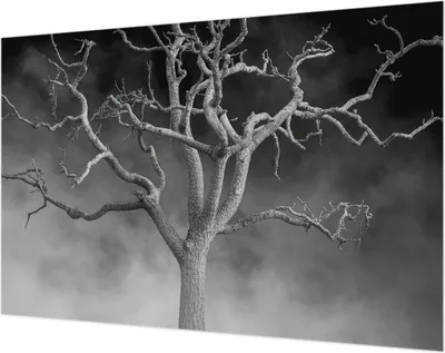 Produktbild von Wandtapete - Dekorative Tapete für Wohnzimmer- Tapetenfolie für Wanddekoration - 104x70 cm - Nebelbaum