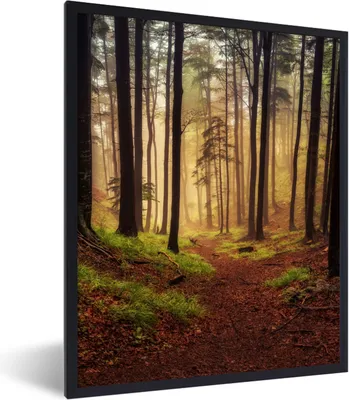 Produktbild von MuchoWow® Gerahmtes Poster Bäume - Natur - Wald 60x80 cm - Poster mit Schwarzem Bilderrahmen Wandposter Rahmen Foto Bilder - Premium - Wanddeko Wohnzimmer