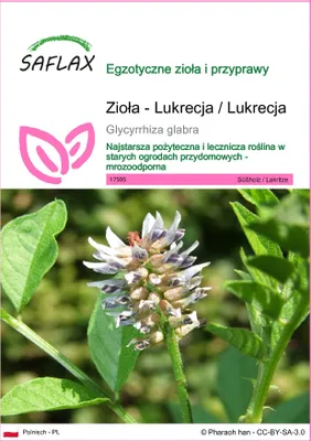 Zdjęcie produktu dla SAFLAX - Zioła - Lukrecja / Lukrecja - 30 Nasiona - Glycyrrhiza glabra