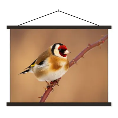 Produktbild von MuchoWow® Textilposter Kropftaube - Vogel - Tiere 40x30 cm mit schwarzem Rahmen - Dekorationen