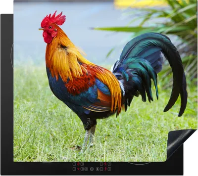 Obrázek produktu pro KitchenYeah® Krycí deska na sporák Barevný kohout v zelené trávě, 60x52cm, kuchyňská dekorace, keramická krycí deska, krycí deska na sporák