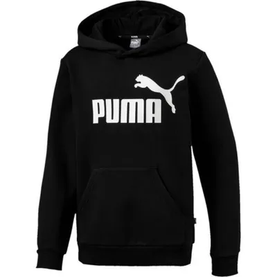 Produktbild von puma Sweatshirt ESS Logo Hoody FL B
