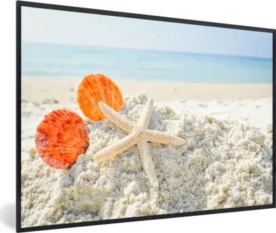 Produktbild von MuchoWow® MuchoWow® Gerahmtes Poster Muscheln - Seesterne - Sand 30x20 cm - Poster mit zchwarzem Bilderrahmen - Kunstdruck - Bild-Poster