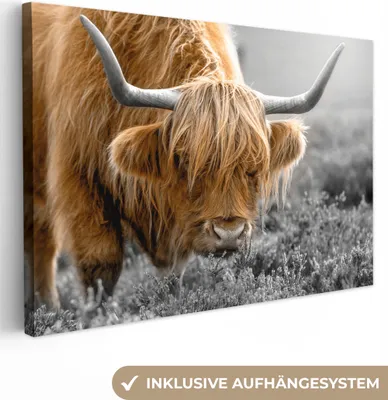 Produktbild von OneMillionCanvasses® - Leinwandbilder - 140x90 cm, Schottisches Hochlandrind - Tiere - Braun - Kuh - Schwarz - Weiß - Natur, Wandbilder Kunstdruck Wanddekoration