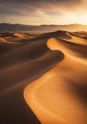 Immagine prodotto di Poster raffigurante dune del deserto, formato DIN A2 – Immagine minimalista del paesaggio con sabbia, luce e ombre, finitura opaca