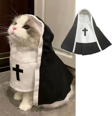 Obrázek produktu pro Halloweenský kostým pro malé a střední psy, pončo-šaty na focení a sociální sítě, kostým pro malé psy (M, 6–12 kg)