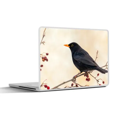 Produktbild von MuchoWow® Laptop Aufkleber Sticker Cover Amsel - Vogel - Zweige - Beere - Rot 40x30 cm - Laptop Dekoration - Selbstklebend