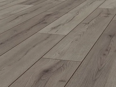 Produktbild von Laminat Jangal 8054 Grey Oak National Park Line Plus 8mm
