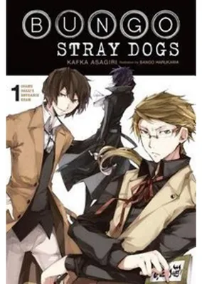Image de Bungo Stray Dogs, Vol. 1 (light novel)