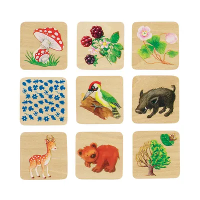 Image de Jeu de mémoire La vie en forêt
