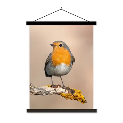Produktbild von MuchoWow® Textilposter Rotkehlchen - Vogel - Zweig - Tiere 90x120 cm mit schwarzem Rahmen - Dekoration