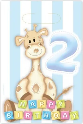 Produktbild von 2. Geburtstag Giraffe Junge 6 Partytüten