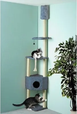 Produktbild von Cat Bonbon Cat Dream Eck-Kratzbaum blau