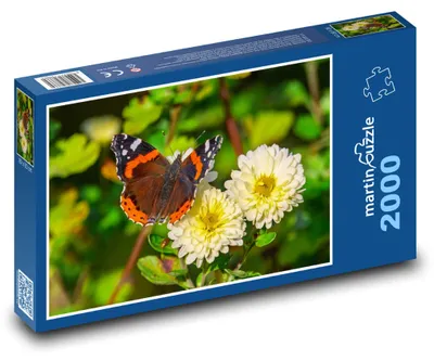Obrázek produktu pro martinpuzzle - Puzzle 2000 - Motýl - květiny