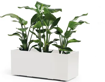 Produktbild von EURO3PLAST Kasten Grn. Kebe 100cm weiß