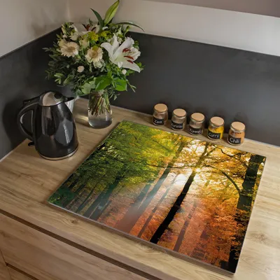 Produktbild von banjado Herdabdeckplatte einteilig 60,x52cm groß mit Gummi Abstandshalter, ESG Sicherheitsglas mit Motiv Herbstwald [HAP1 10041]