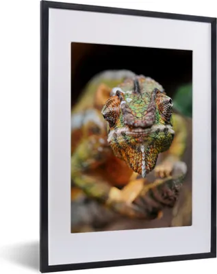 Produktbild von MuchoWow® MuchoWow® Gerahmtes Poster Wissbegieriges Chamäleon 30x40 cm - Poster mit zchwarzem Bilderrahmen - Wandposter Schlafzimmer