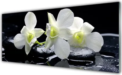 Produktbild von Glasbilder 125x50 Wandbild Druck auf Glas Blumen Steine Pflanzen