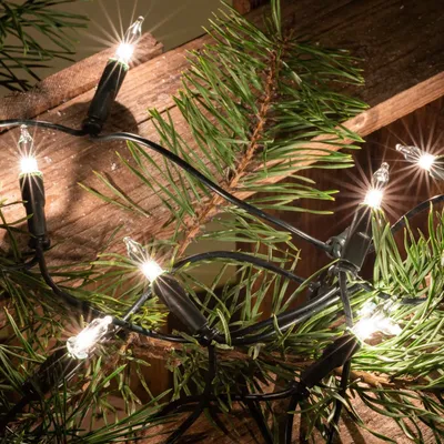 Produktbild von Lichterkette innen 35 klare warme Lichter, beleuchtet 5,10m, Kabel grün, Stecker