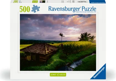Immagine prodotto di Campi di riso nel nord di Bali