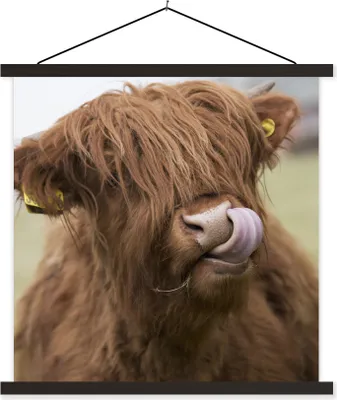 Produktbild von MuchoWow® Textilposter Schottisches Hochlandrind - Braun - Kuh 40x40 cm mit schwarzem Rahmen - Fotos