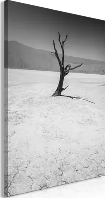 Produktbild von Vliesstoff Leinwandbild - Tree in the Desert (1 Part) Vertical 80x120 cm Landschaften c-B-0405-b-a