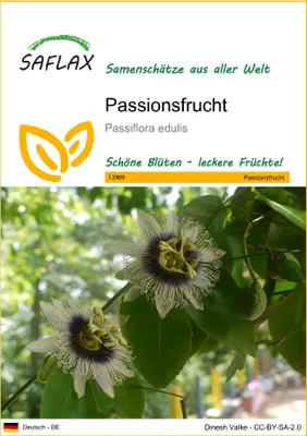 Produktbild von SAFLAX - Passionsfrucht - Passiflora edulis - 40 Samen