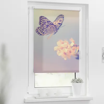 Produktbild von Rollo Klemmfix, ohne Bohren, blickdicht, Schmetterling - 80 x 150 cm (B x L)