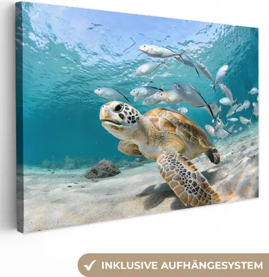 Zdjęcie produktu dla MuchoWow® - Obraz na płótnie - Żółw - Ryba - Morze, fototapeta, dekoracja ścienna do salonu, 120x80cm