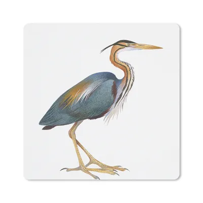 Produktbild von MuchoWow® Mauspad Mousepad Vogel - Federn - Aquarell 30x30 cm - Mousepads - Maus Mat - Pad - Mausunterlage - Gaming